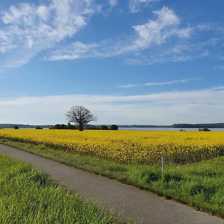 Toplage Direkt An Der Steilkueste - 4 